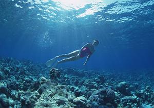 兵庫県相生市のビジネスホテル【東横INN相生駅新幹線口】の魅力と完全ガイド
