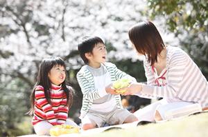 熊本市の中心に位置するビジネスホテル「東横INN熊本新市街」の魅力と詳細情報