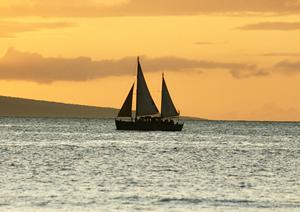 和光市駅徒歩1分の快適な滞在を実現!東横INN和光市駅前の魅力と詳細情報