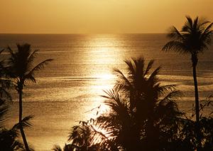 【公式】東横INN八潮駅前|埼玉県八潮市の利便性抜群のビジネスホテルと宿泊予約情報