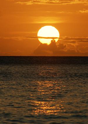 大阪のビジネスと観光に最適!東横INN新大阪東三国駅前の魅力と利用ガイド