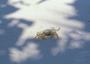 家族で楽しむ！金沢の体験学習で伝統文化と思い出作り