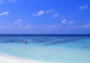 横浜のビジネスと観光に最適なホテル：東横INN横浜スタジアム前2の魅力と詳細ガイド