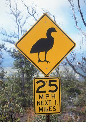 静岡県富士市にあるビジネスホテル「東横INN新富士駅南口」の魅力と詳細情報