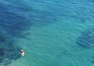 京都二条城近くのビジネスホテル「東横INN京都二条城南」の魅力と詳細情報