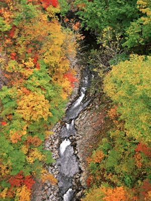 青森駅から徒歩1分の快適ビジネスホテル|東横INN青森駅前の魅力と詳細情報
