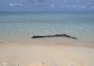 仙台市中心部で快適な滞在を実現：東横INN仙台東口2号館の魅力と詳細情報