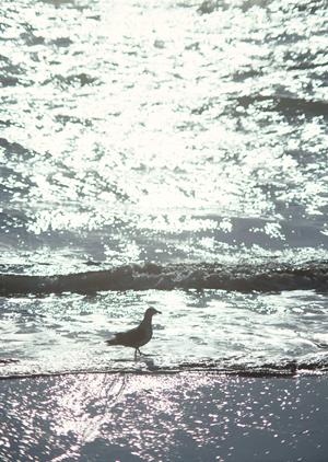 秋川駅北口すぐの快適ビジネスホテル｜東横INN東京秋川駅北口の魅力と詳細情報