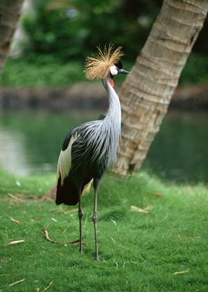 豊田市駅前の快適ステイを実現！東横イン豊田市駅前の魅力と特徴をご紹介