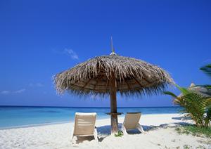 東京都調布市の快適な滞在を提供する東横イン調布京王線布田駅:便利なアクセスと多彩なサービス