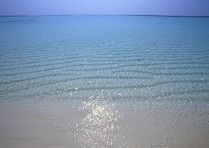 東京都中央区にある快適な宿泊を提供する【東横INN日本橋税務署前】の詳細情報と魅力