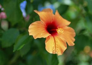 神戸三宮駅から徒歩3分の便利な立地！東横INN神戸三宮駅前の魅力と詳細情報
