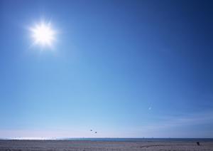 北海道函館市にある東横INN函館駅前大門の魅力と詳細情報